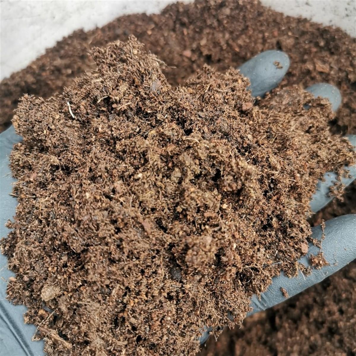 Tropikal Kaktüs ve Suculent Toprağı 2.5 lt