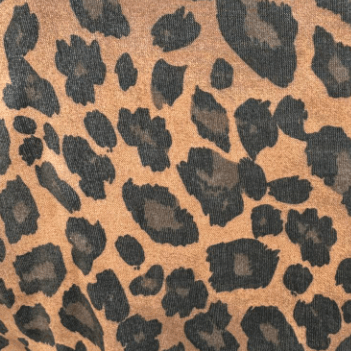 Leopard - Brown