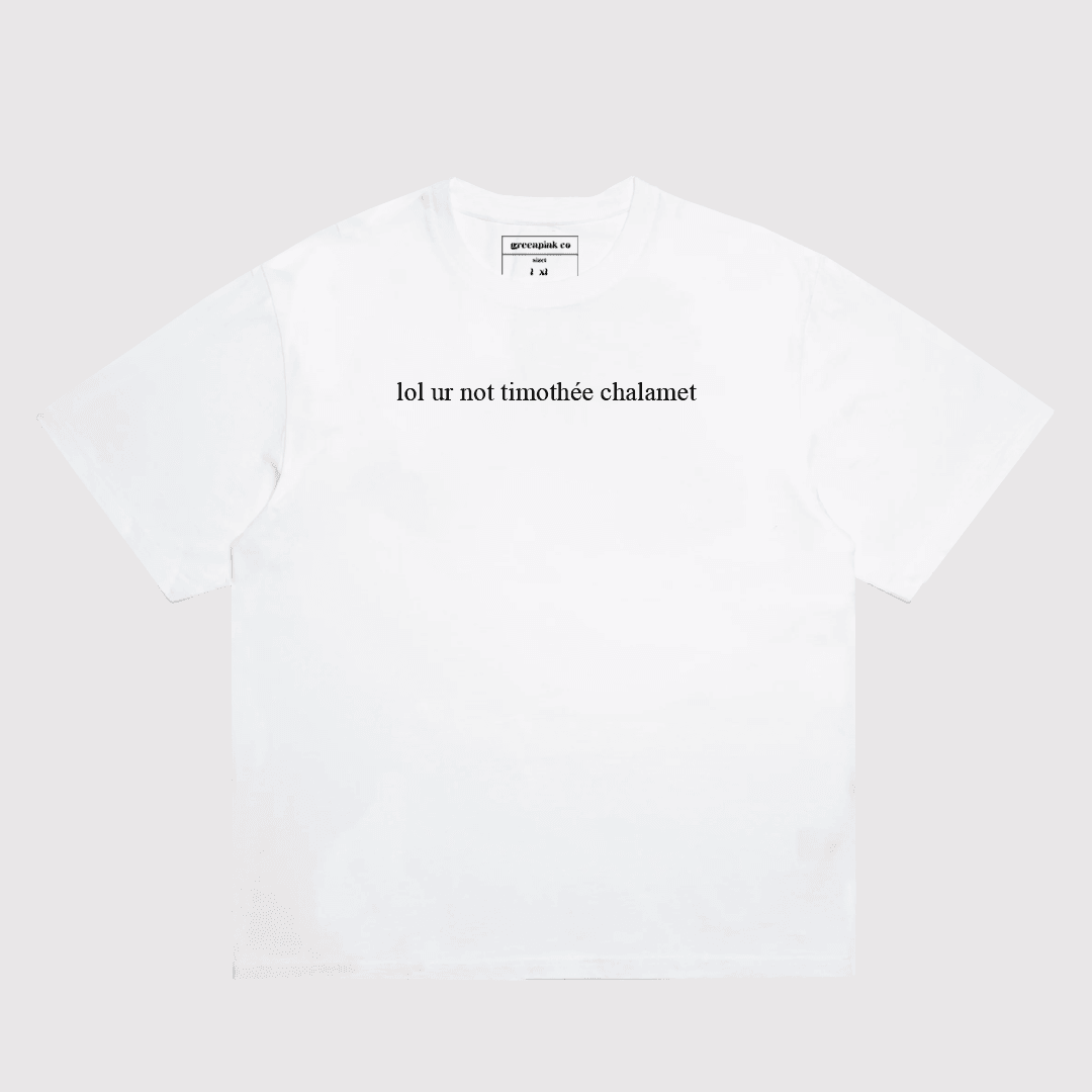 "lol ur not..." t-shirt / vol.2 (4 options)