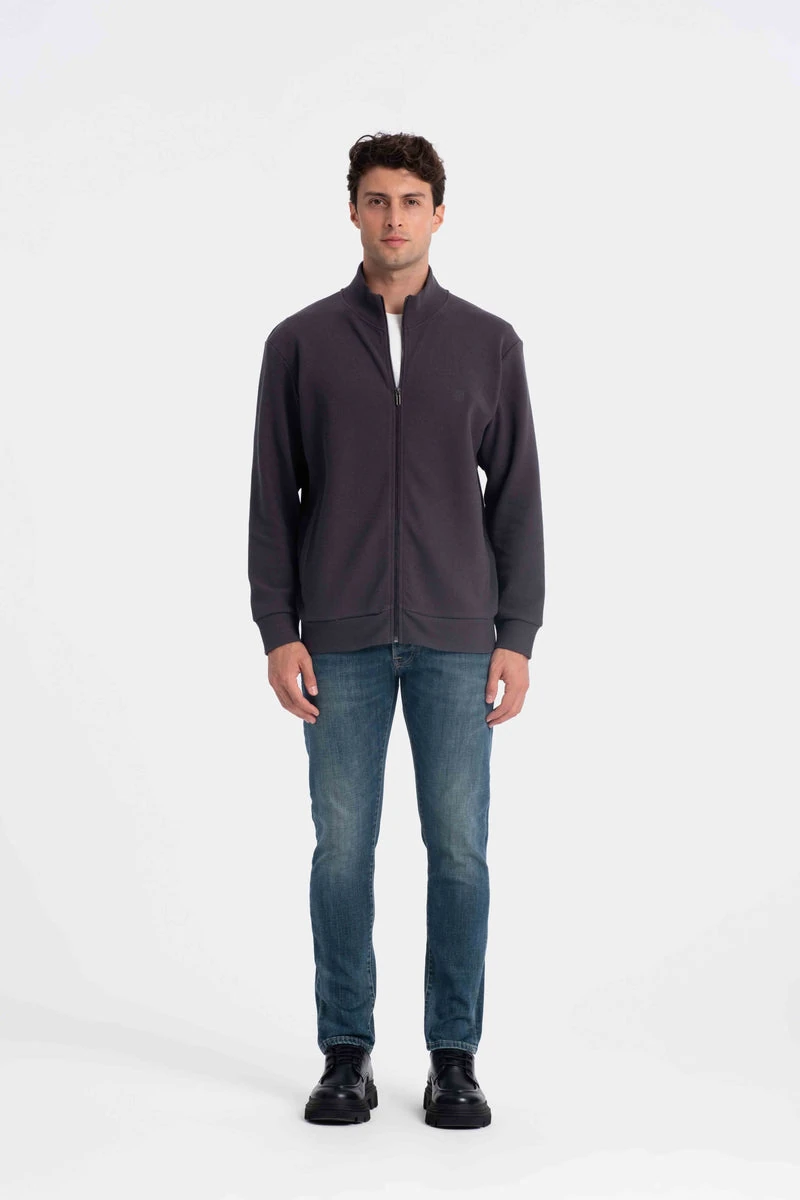 9553 Dik Yaka Selanik Antrasit Erkek Hırka