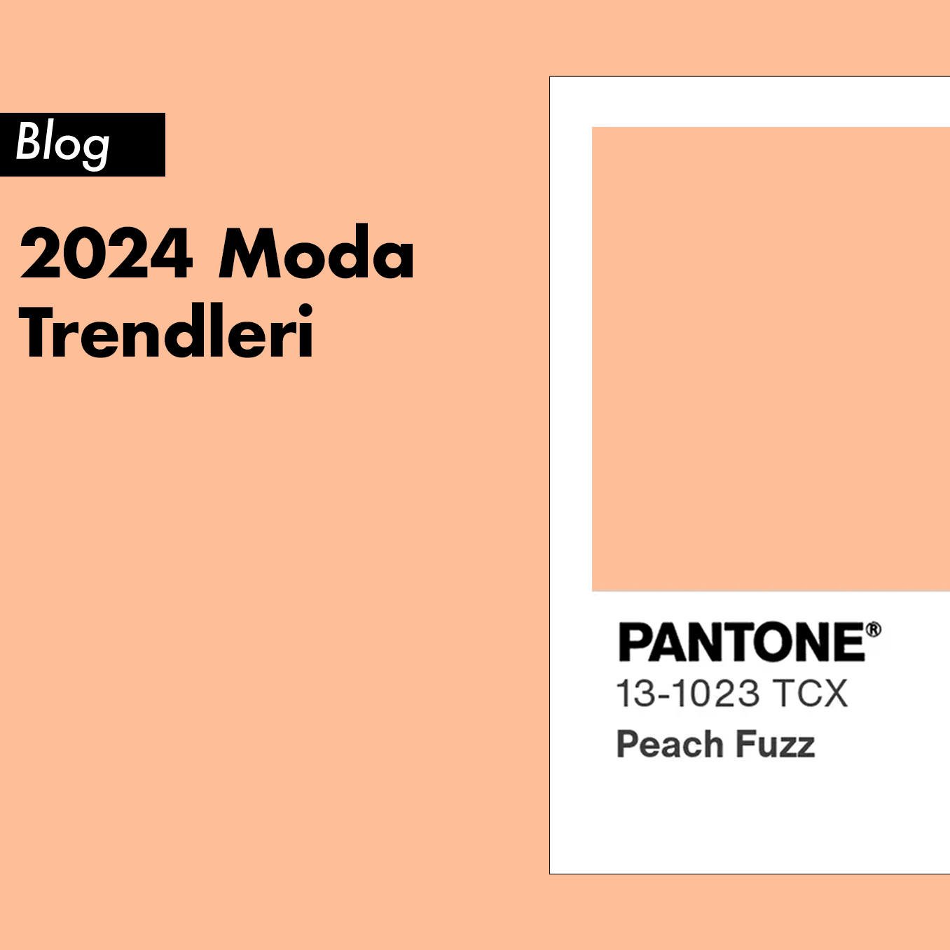 2024 Moda Trendleri: Erkekler Nasıl Öne Çıkacak?