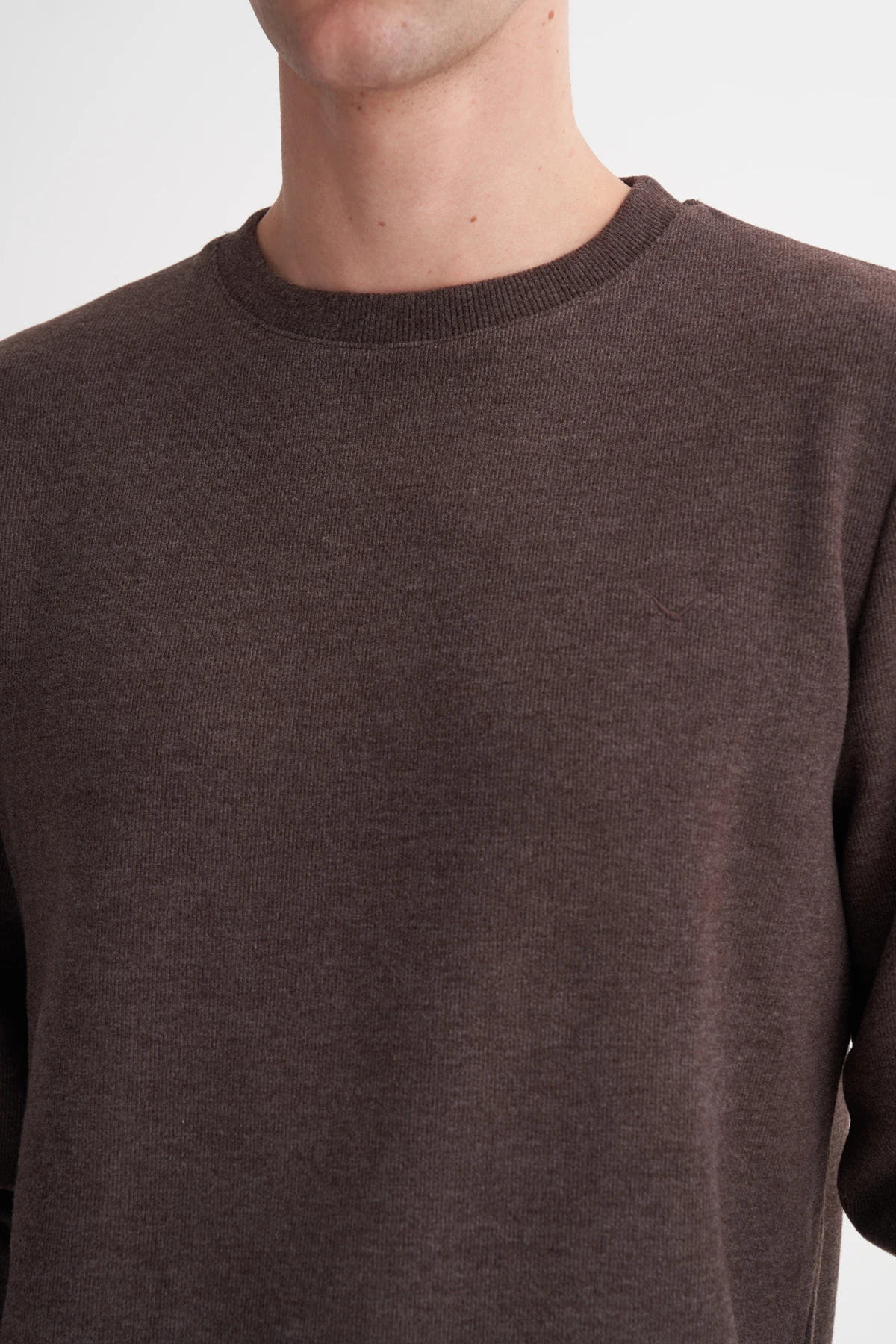 Bisiklet Yaka Erkek Kahverengi Sweatshirt CAZ 56400