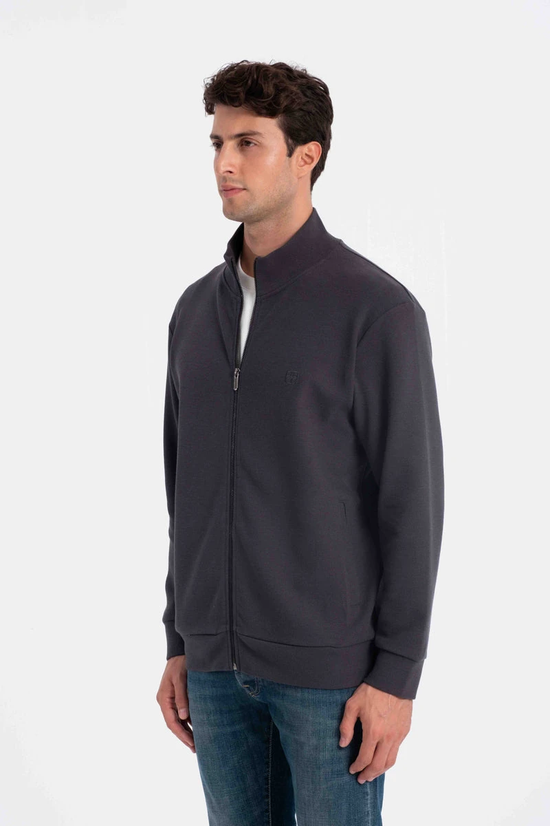 9553 Dik Yaka Selanik Antrasit Erkek Hırka