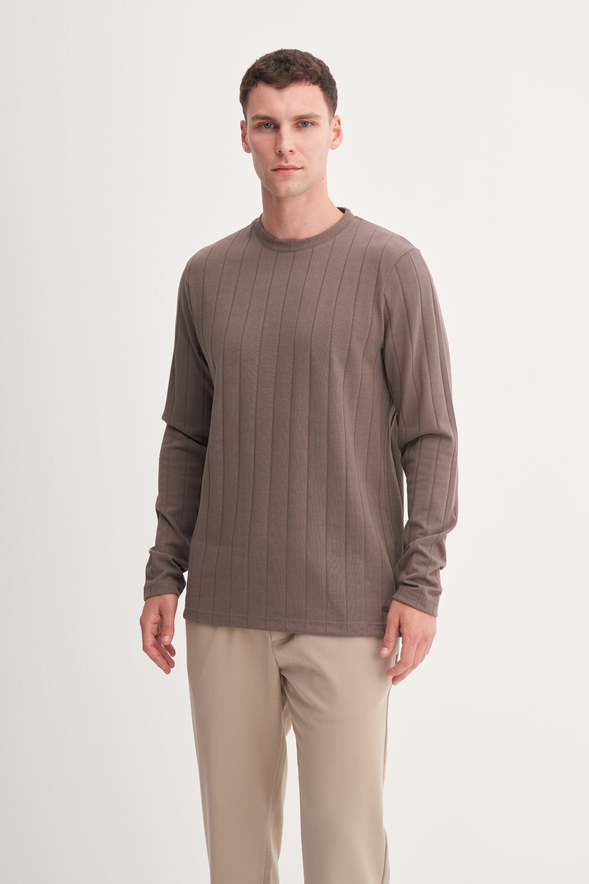 Bisiklet Yaka Jakarlı Interlok Erkek Vizon Sweatshirt CAZ 53950