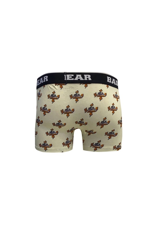 Bad Bear  Voltage Boxer