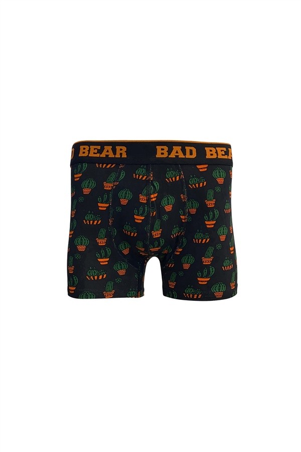 Bad Bear  Cactus Boxer