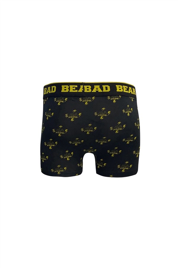 Bad Bear  Voltage Boxer