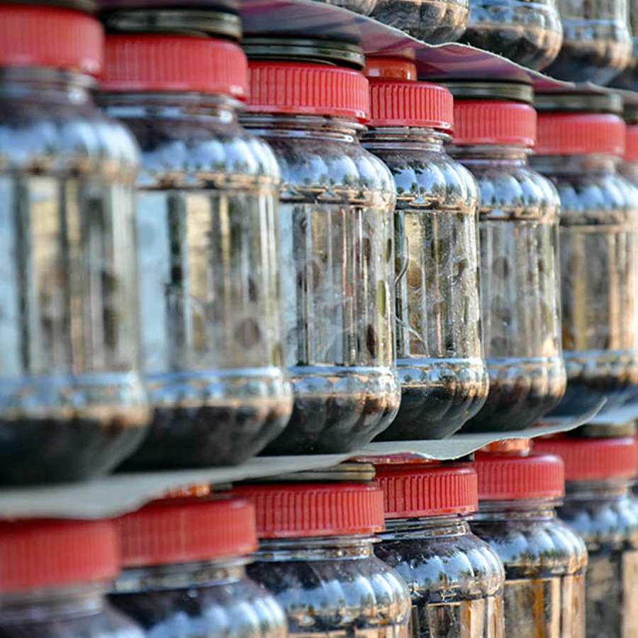 1 Numara Ham Siyah Zeytin (3,5 Kg)