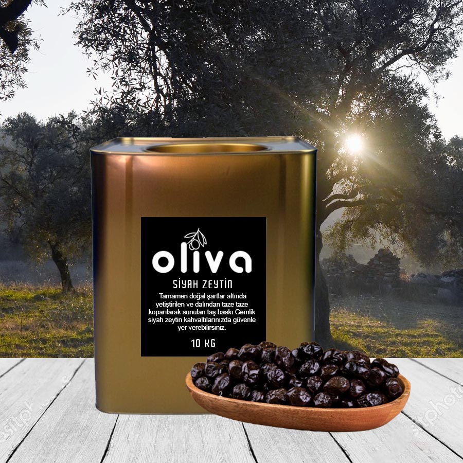Gemlik Siyah Zeytin 10 Kg Teneke (261-290 Kalibre)