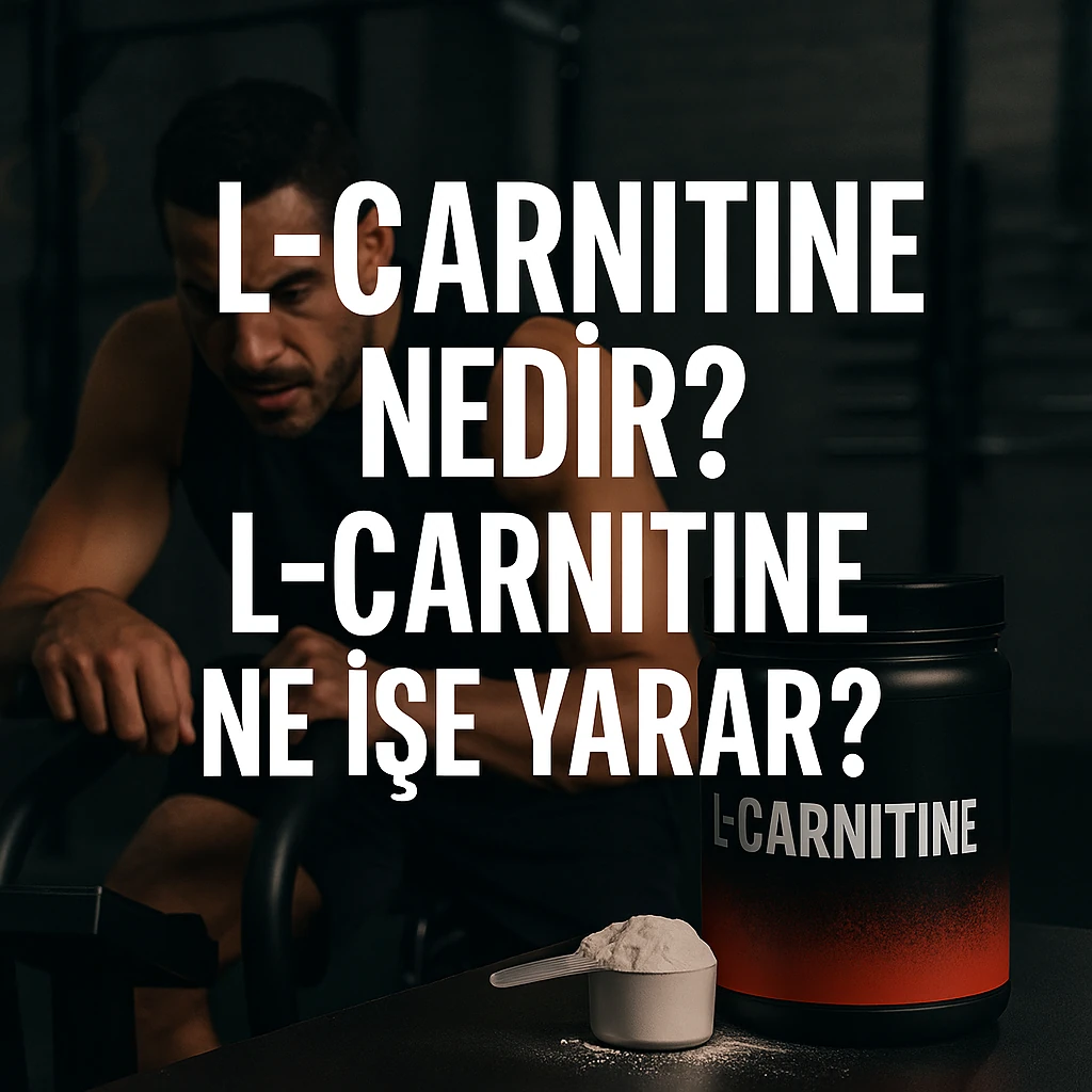 L-Carnitine Nedir? L-Carnitine Ne İşe Yarar?