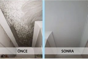 MS 82 Beyaz Nem Boyası 1 kg İç Mekan Kullanımı için Uzun Ömürlü Çözüm