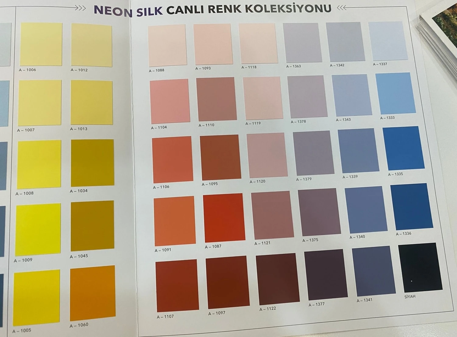 Paint Neon Silk %100 Saf Akrilik Ipeksi Mat Cephe Boyası 13,5 Litre