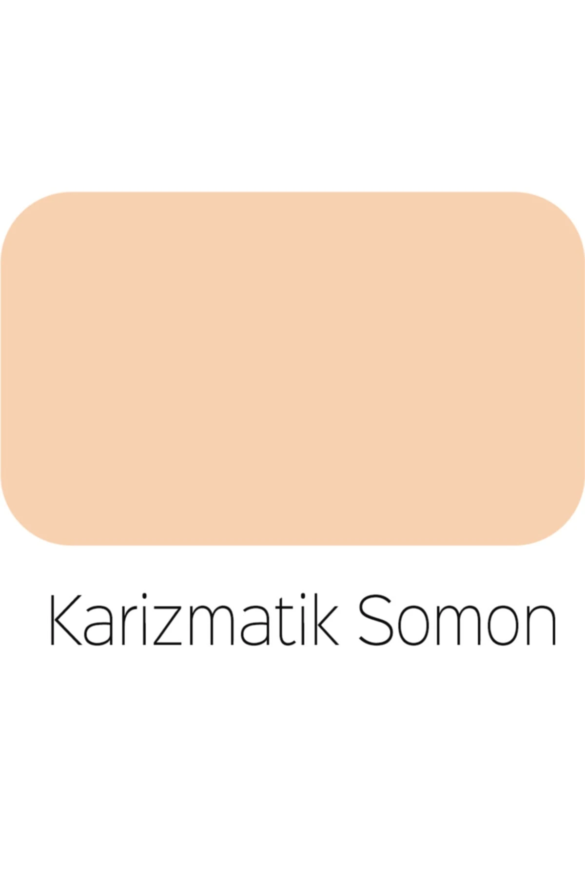 Elegans Extra Yarı Mat Silikonlu Iç Cephe Boya - 4248-karizmatik Somon Ci-7131