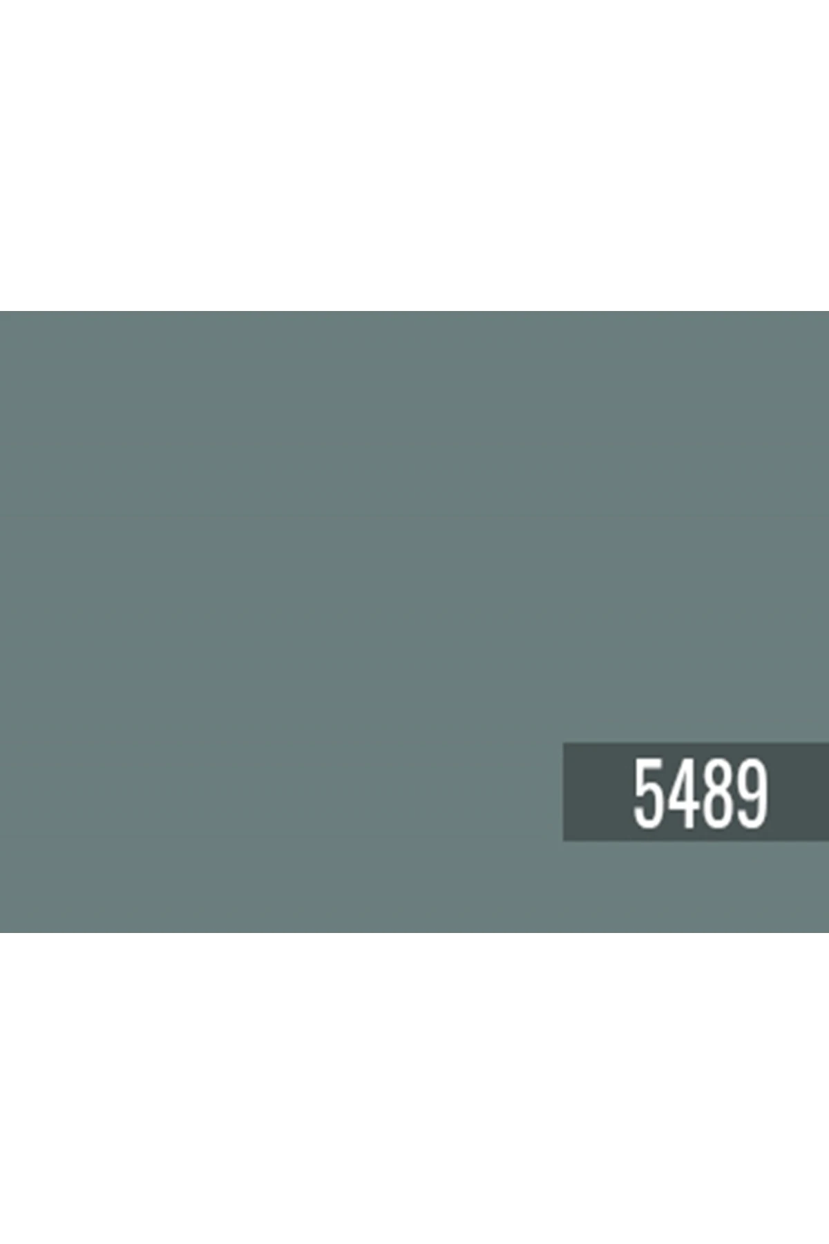 Free Spirit 5489 Fenomastic Zen 1LT