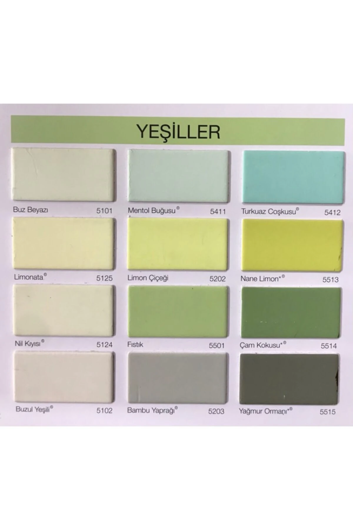 0,75 Lt. (1 Kg.) Silikonlu Özel Mat Tam Silinebilir Iç Cephe Boyası - Fıstık