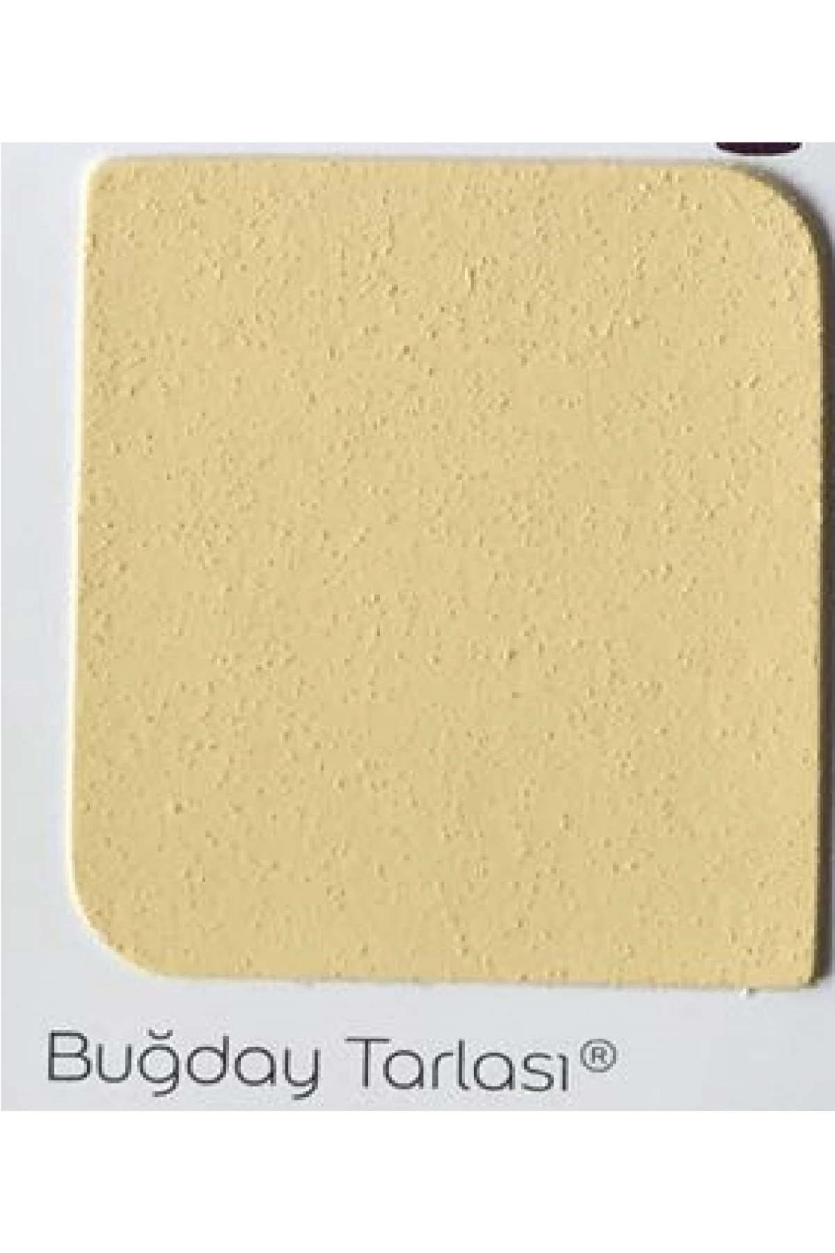 Akrikor Silikonlu + Akrilik Boya Buğday Tarlası 2,5 Lt. (3,5 Kg)