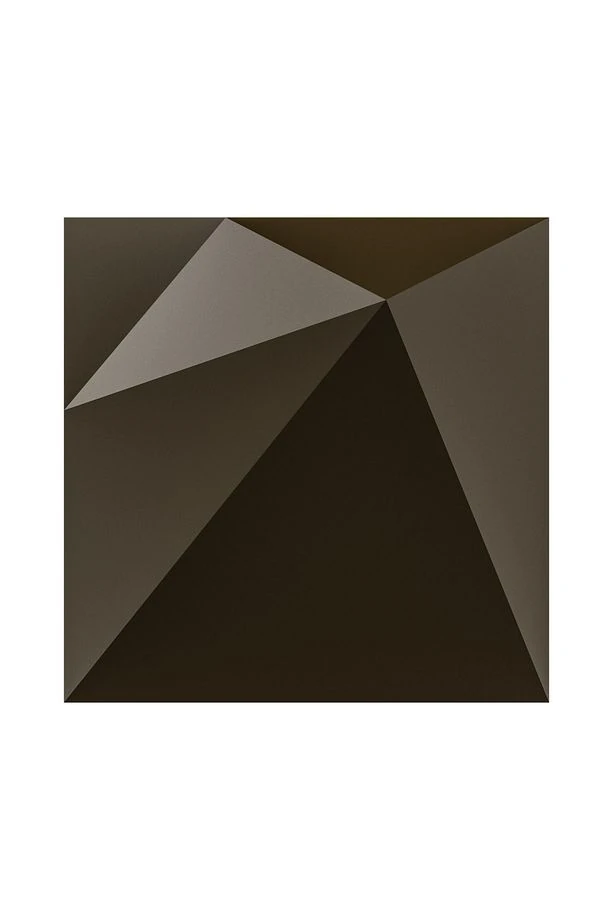 3 Boyutlu Dekoratif Duvar Paneli (1M2) (-VİZON-)