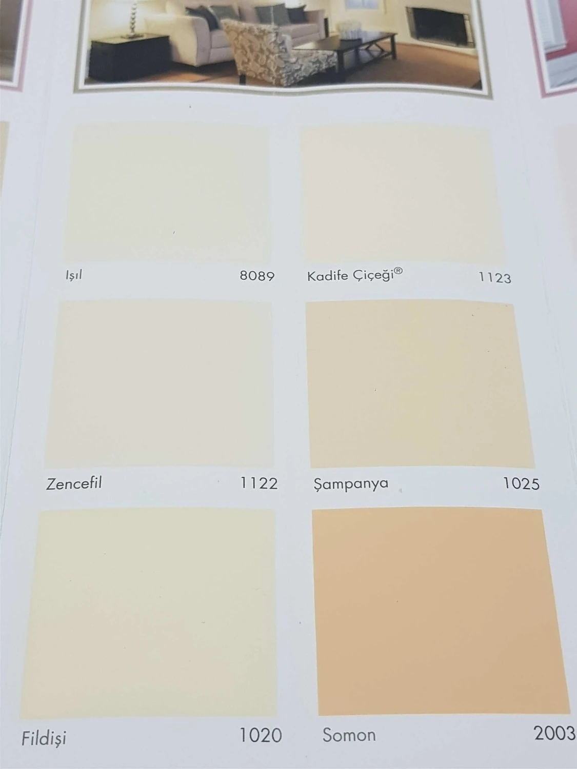 Silikonlu Mat İç Cephe Boyası 3.5 Kg