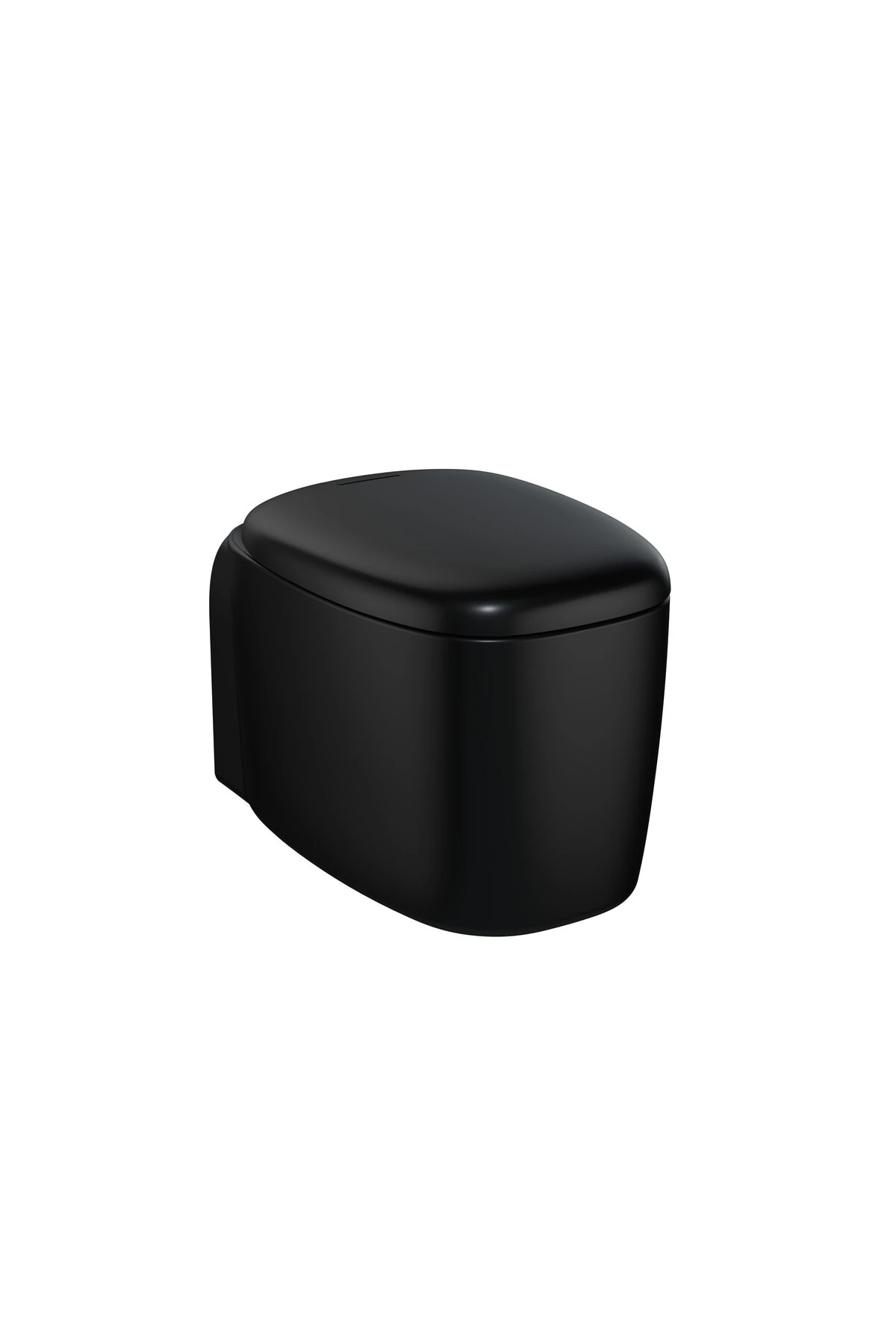 Plural 7830b483-0090 Rim-ex Asma Klozet, 55 Cm, Mat Siyah