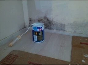 MS 82 Beyaz Nem Boyası 1 kg İç Mekan Kullanımı için Uzun Ömürlü Çözüm