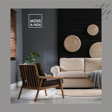 Nippon Moss Soft Mat Tam Silinebilir Iç Cephe Boyası 13.5 Lt