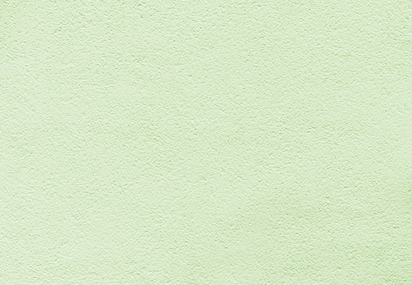 Nippon Neon Silk Saf Akrilik Dış Cephe Boyası 2.5 Lt