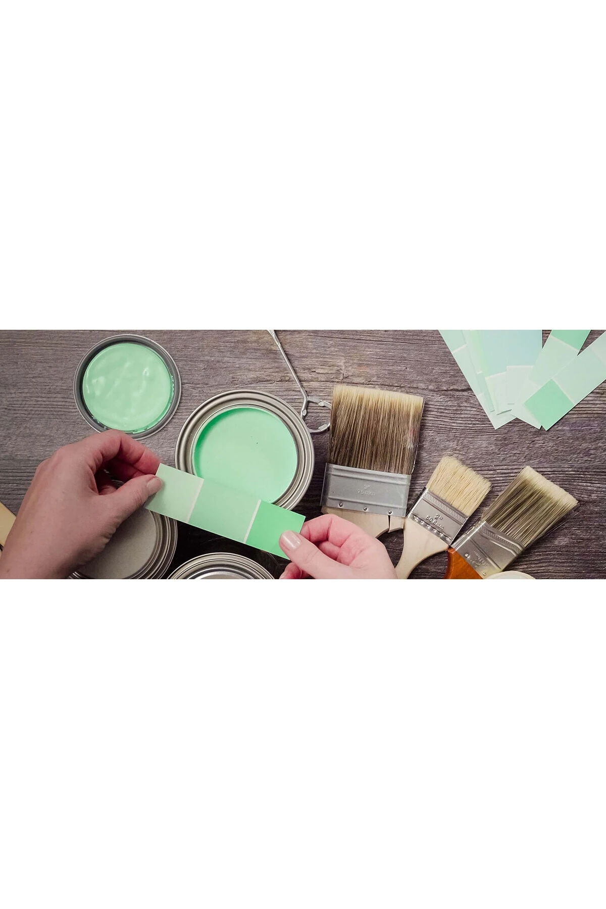 Primera Parlak Gül Kurusu - 0,25 L