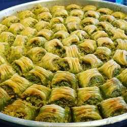 CEVİZLİ CİMCİK 2 KĞ