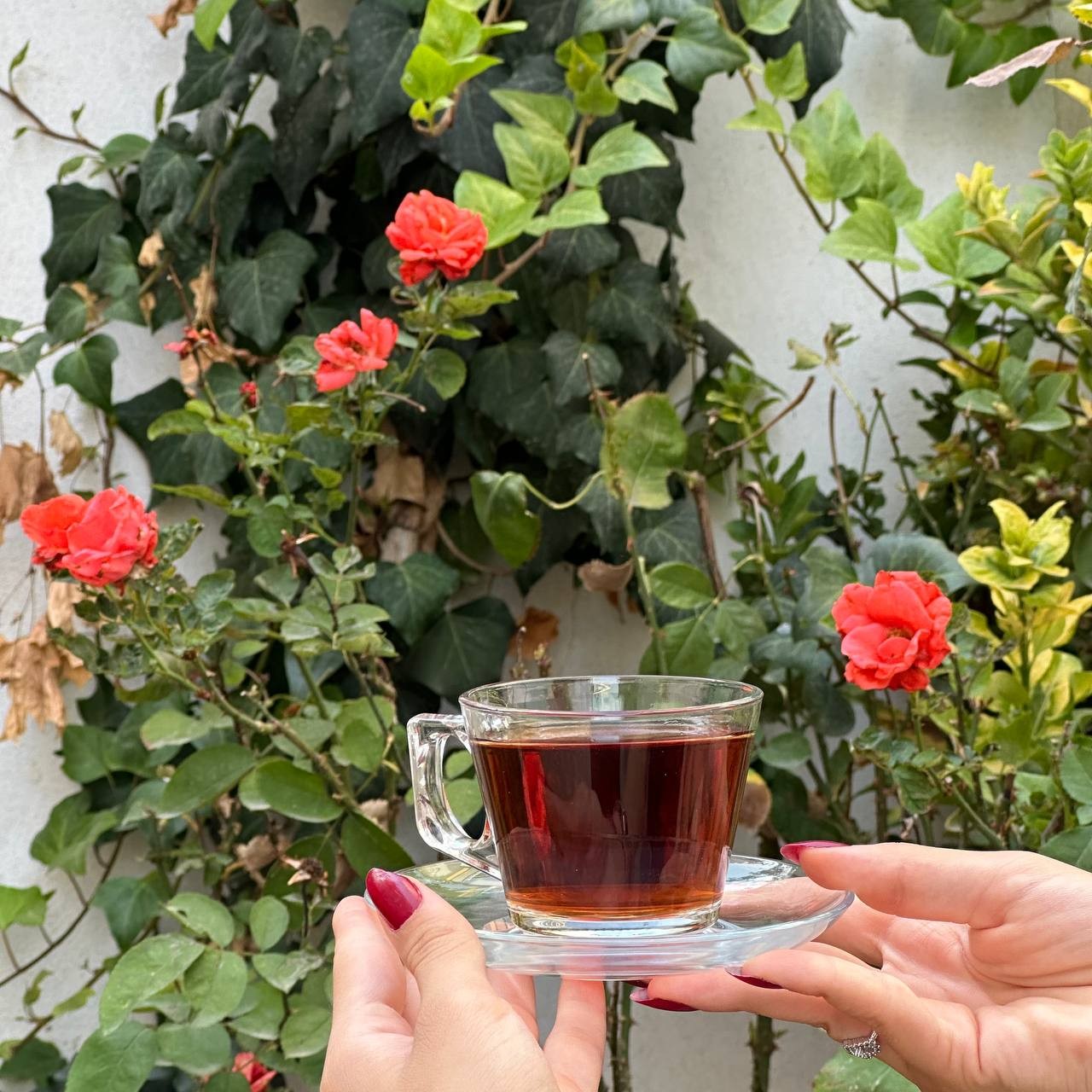 Vela 12 Parça Cam Çay Bardağı Çay Fincanı