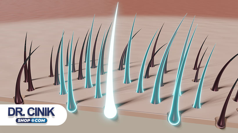 What is a Hair Follicle? – Hair Anatomy