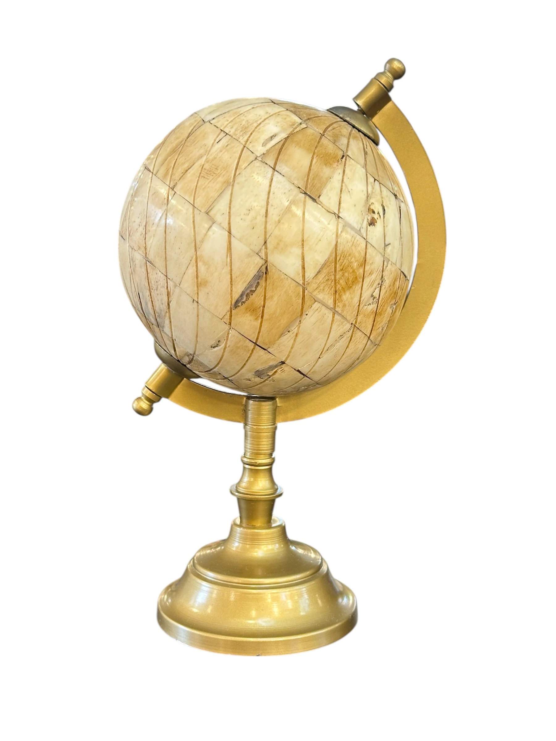 Kemik Renk Dünya Küre Obje 