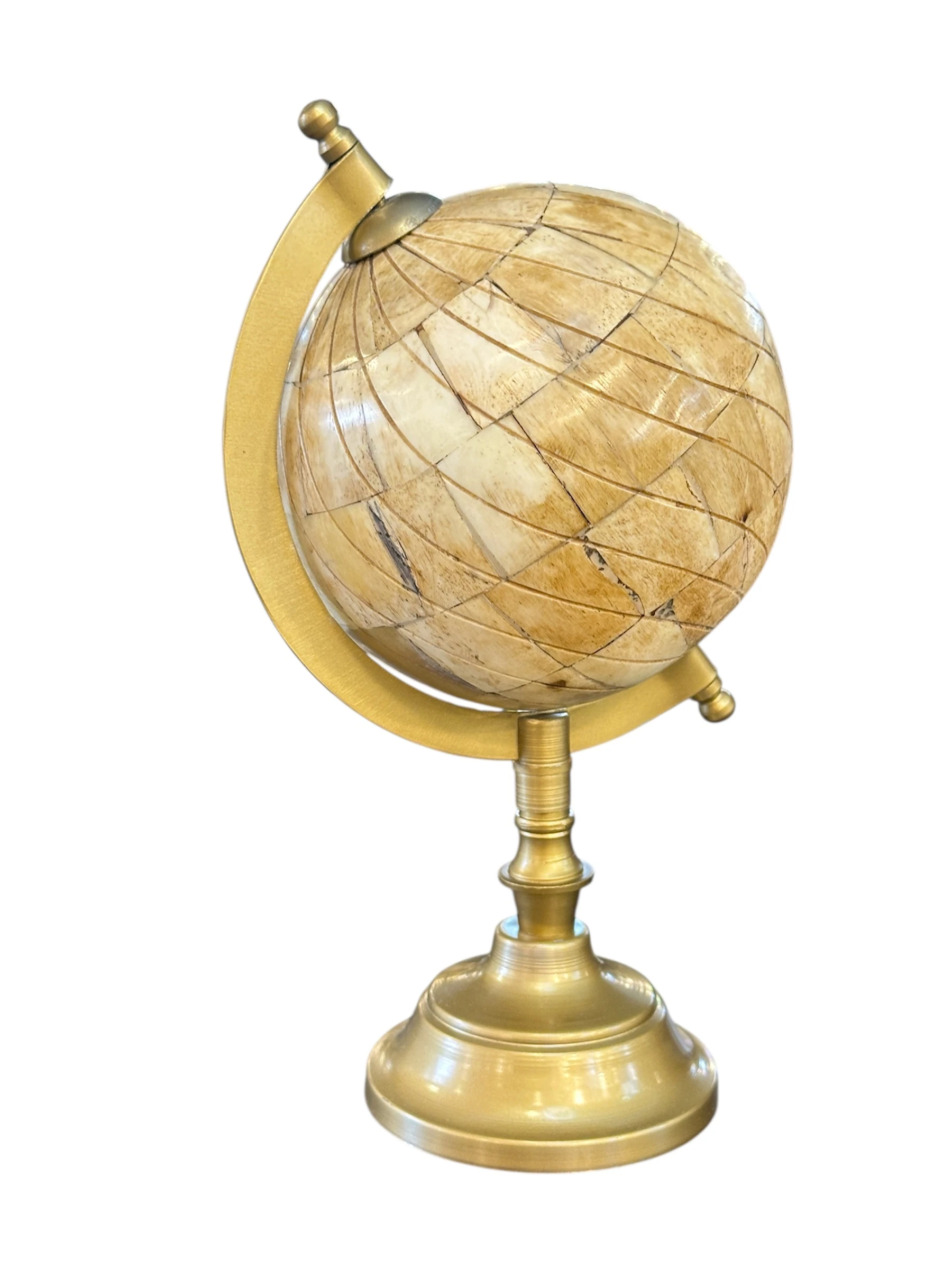 Kemik Renk Dünya Küre Obje 