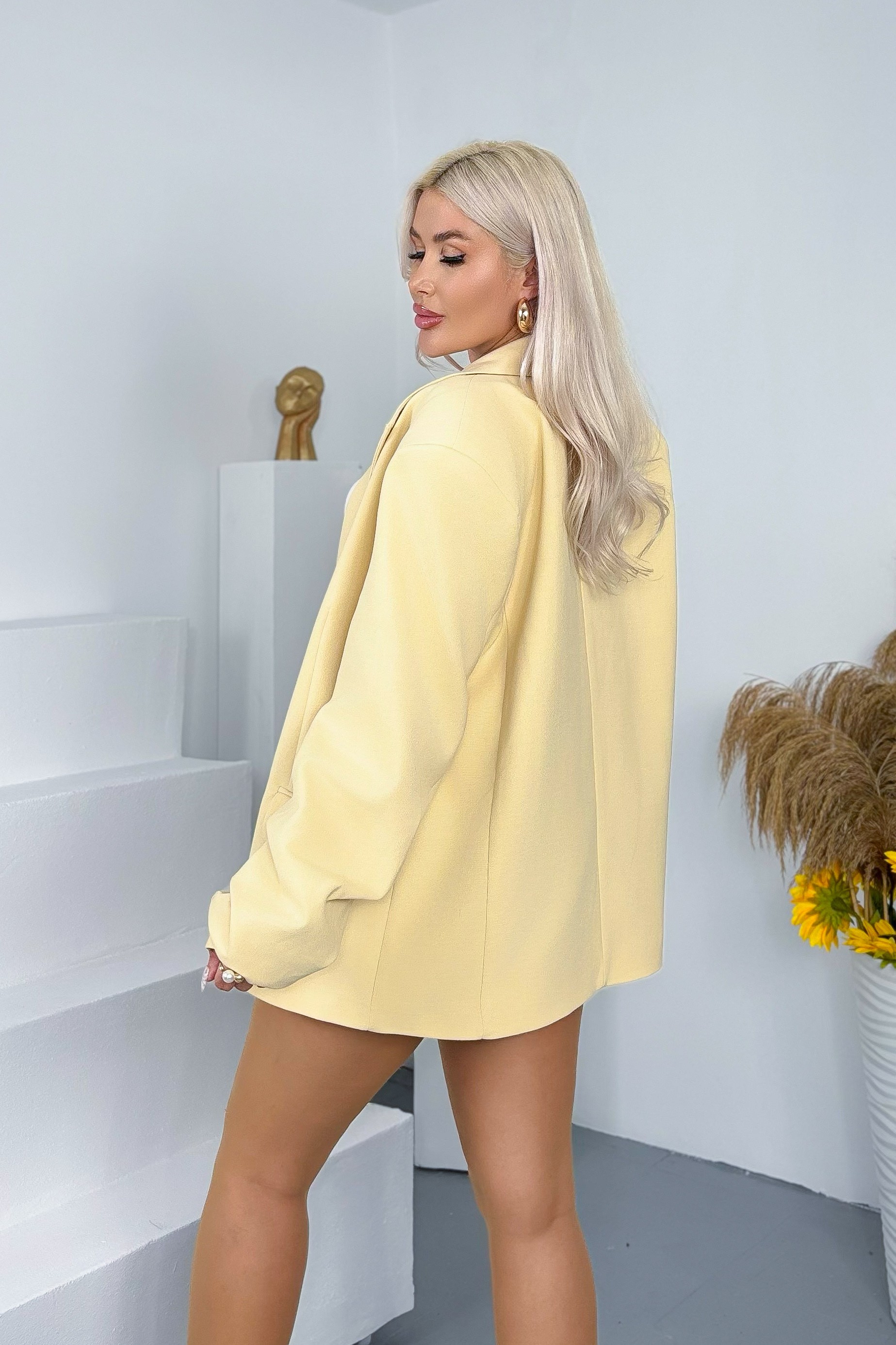 Lemonade Takım