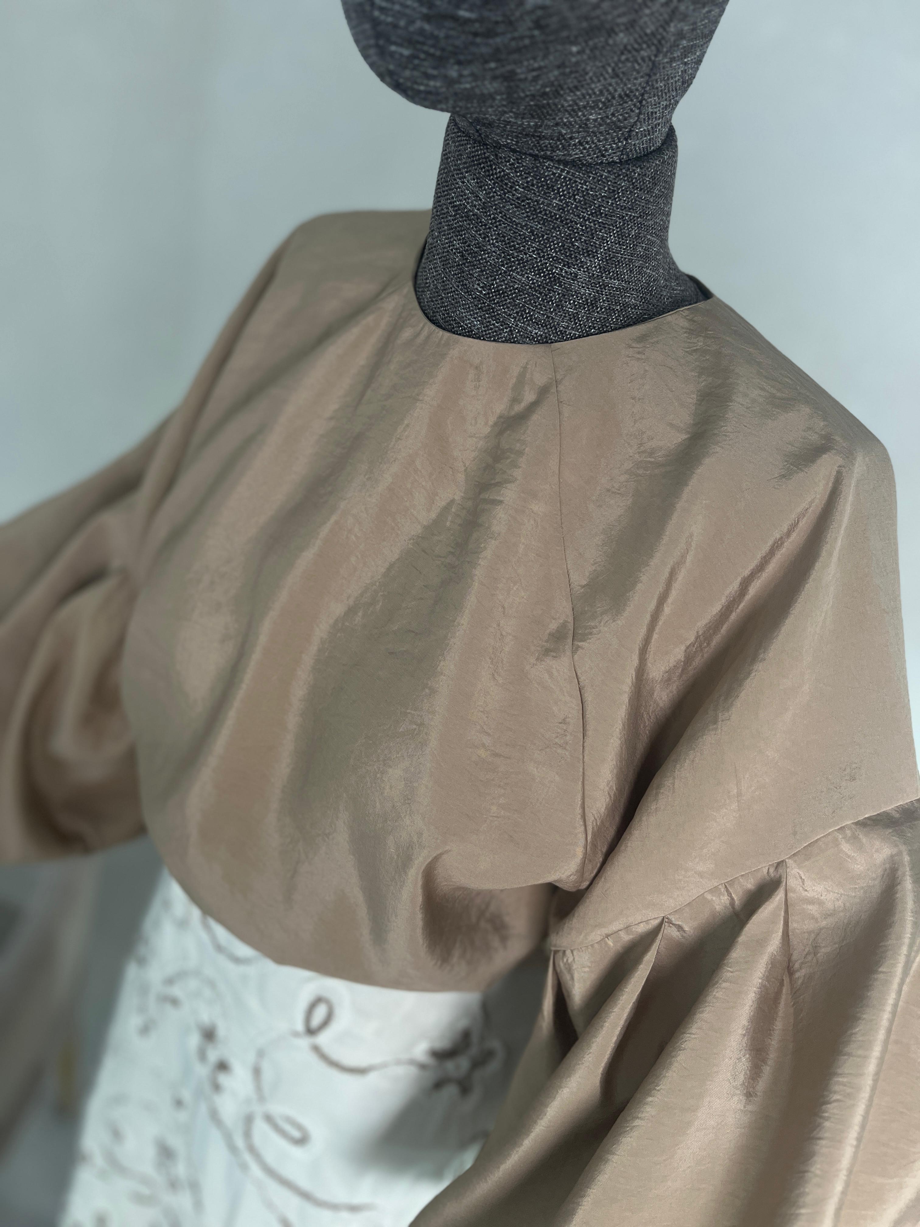 Reglan, Balon Kol Detaylı Bluz