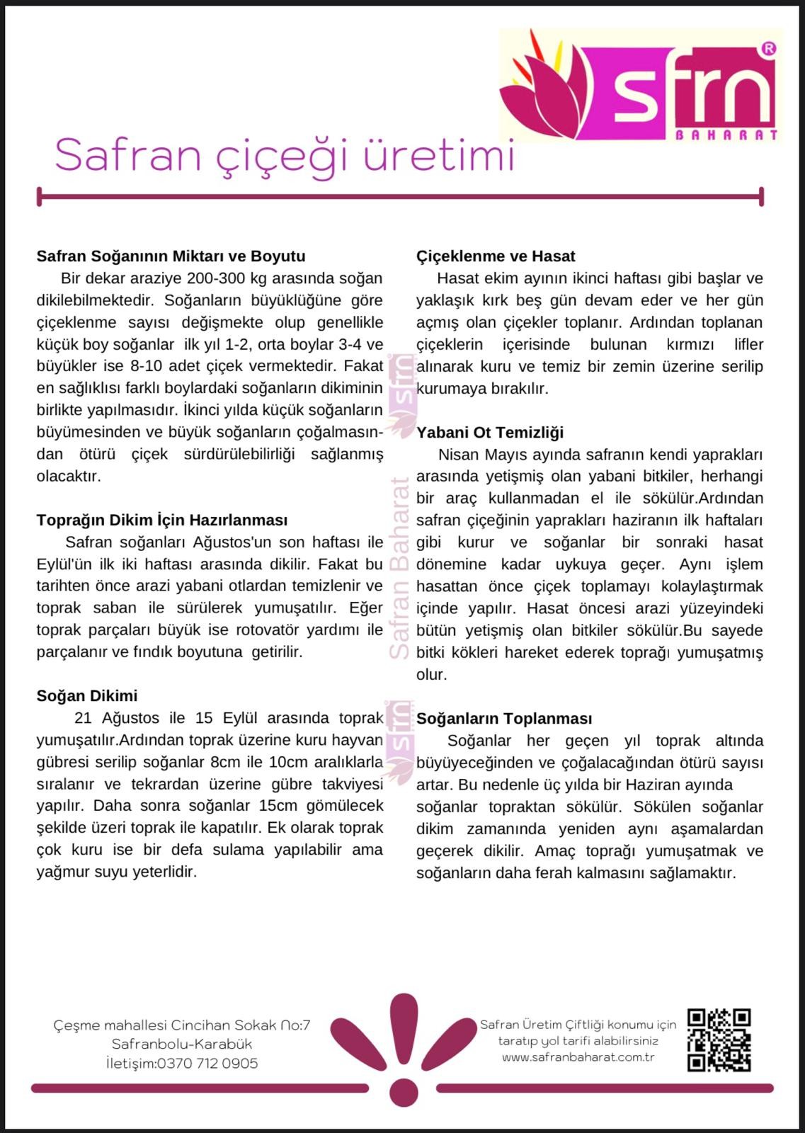 Safran Soğanı 20Kg