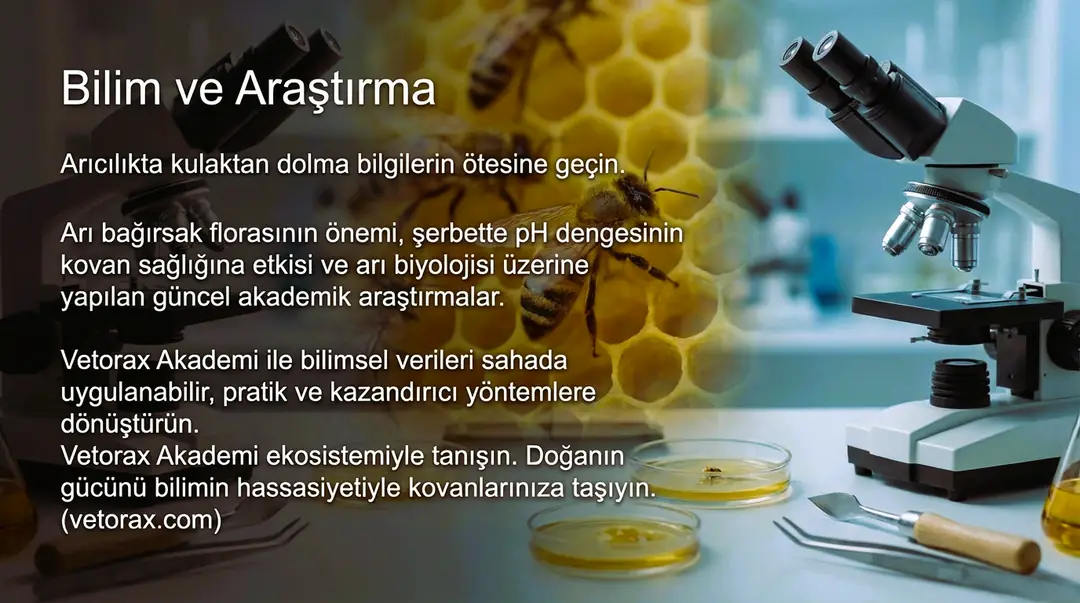 Bilim ve Araştırma