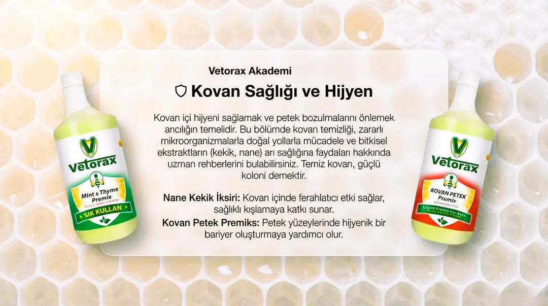 Kovan Sağlığı