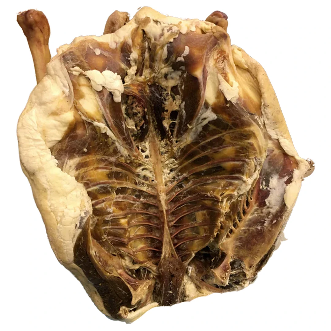 Doğal Kars Köy Kazı