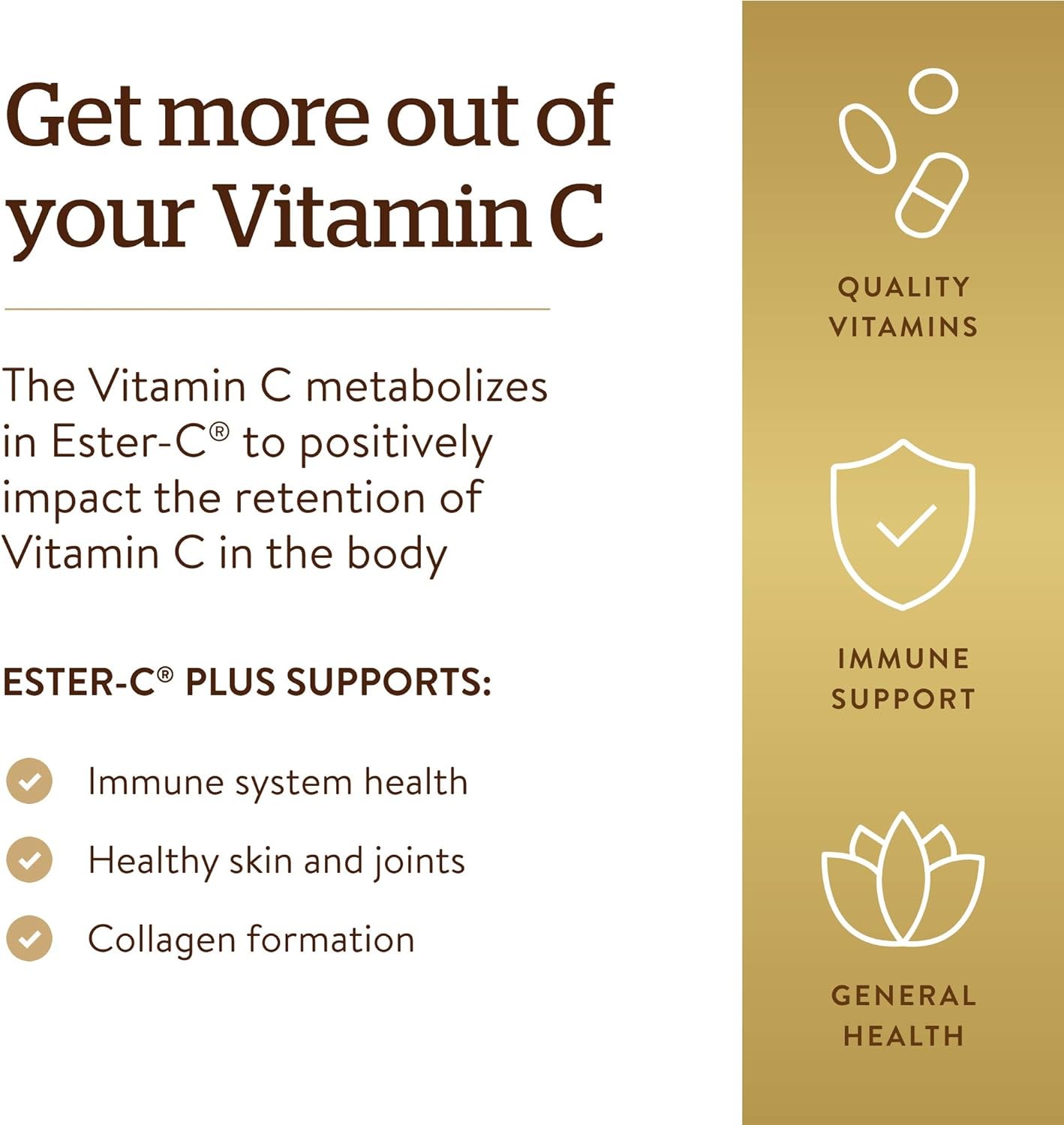 Solgar Ester-C Plus Vitamin C 1000 mg 60 Tablets - Dietary Supplement