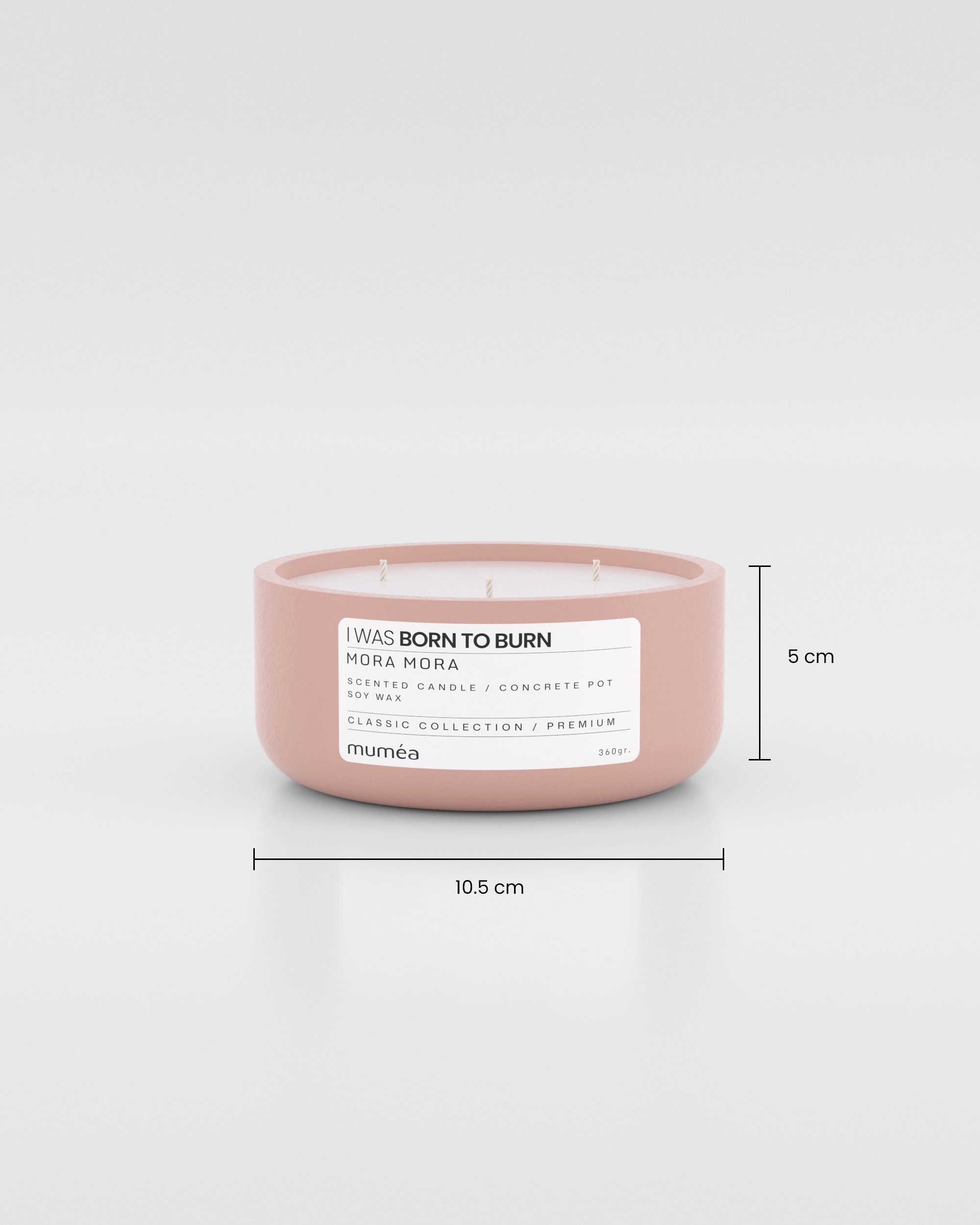 Mora Mora Kokulu 360 gr Soya Mum (Beton Saksıda)