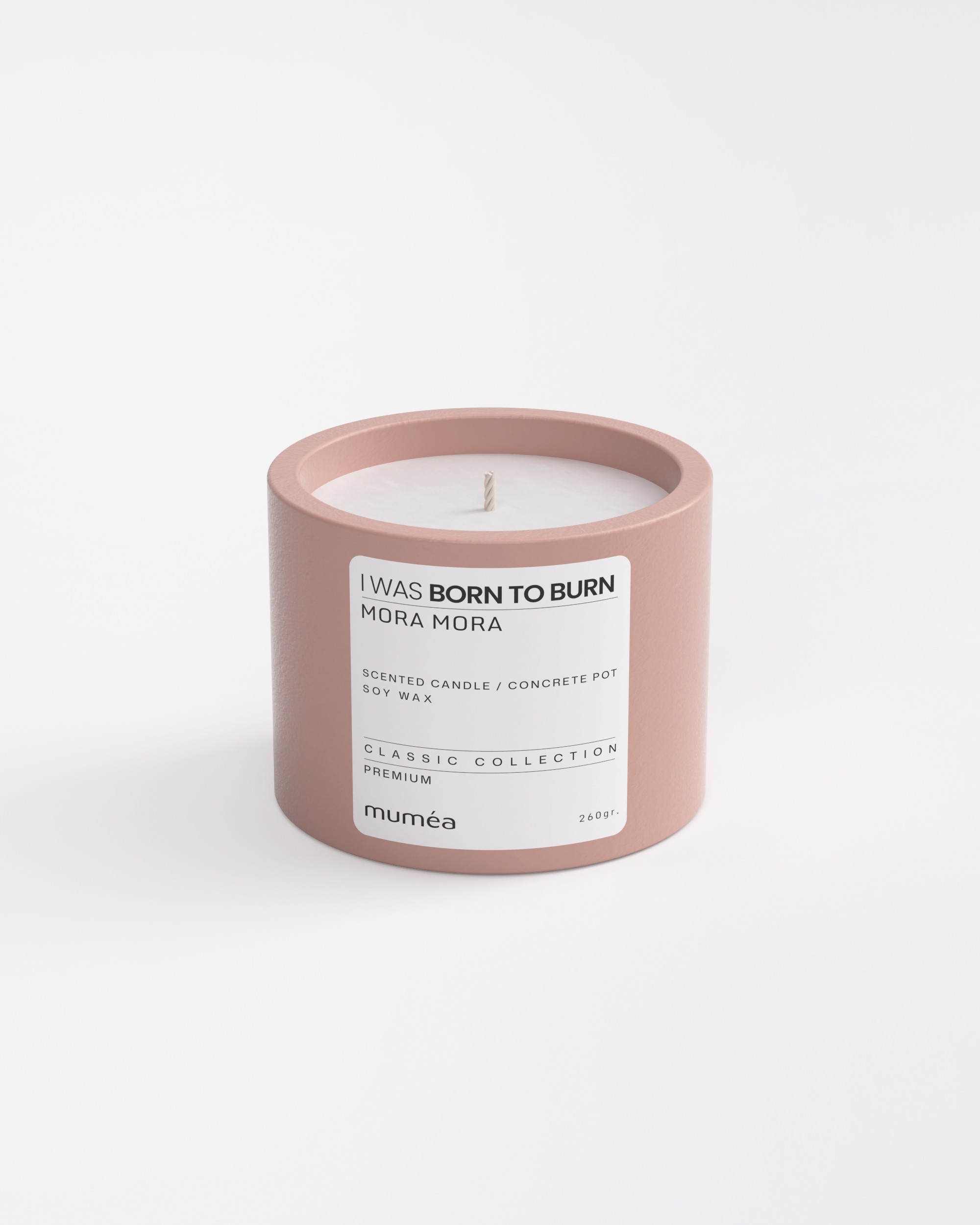 Mora Mora Kokulu 260 gr Soya Mum (Beton Saksıda)
