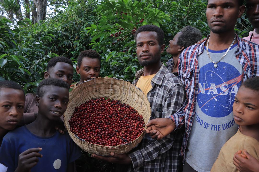 Oromoia Region, Guji Zone, Ethiopia, 2023