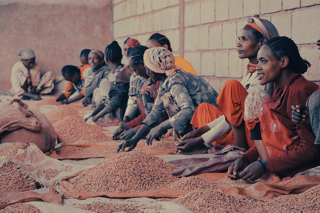 Yirgacheffe, Ethiopia, 2023