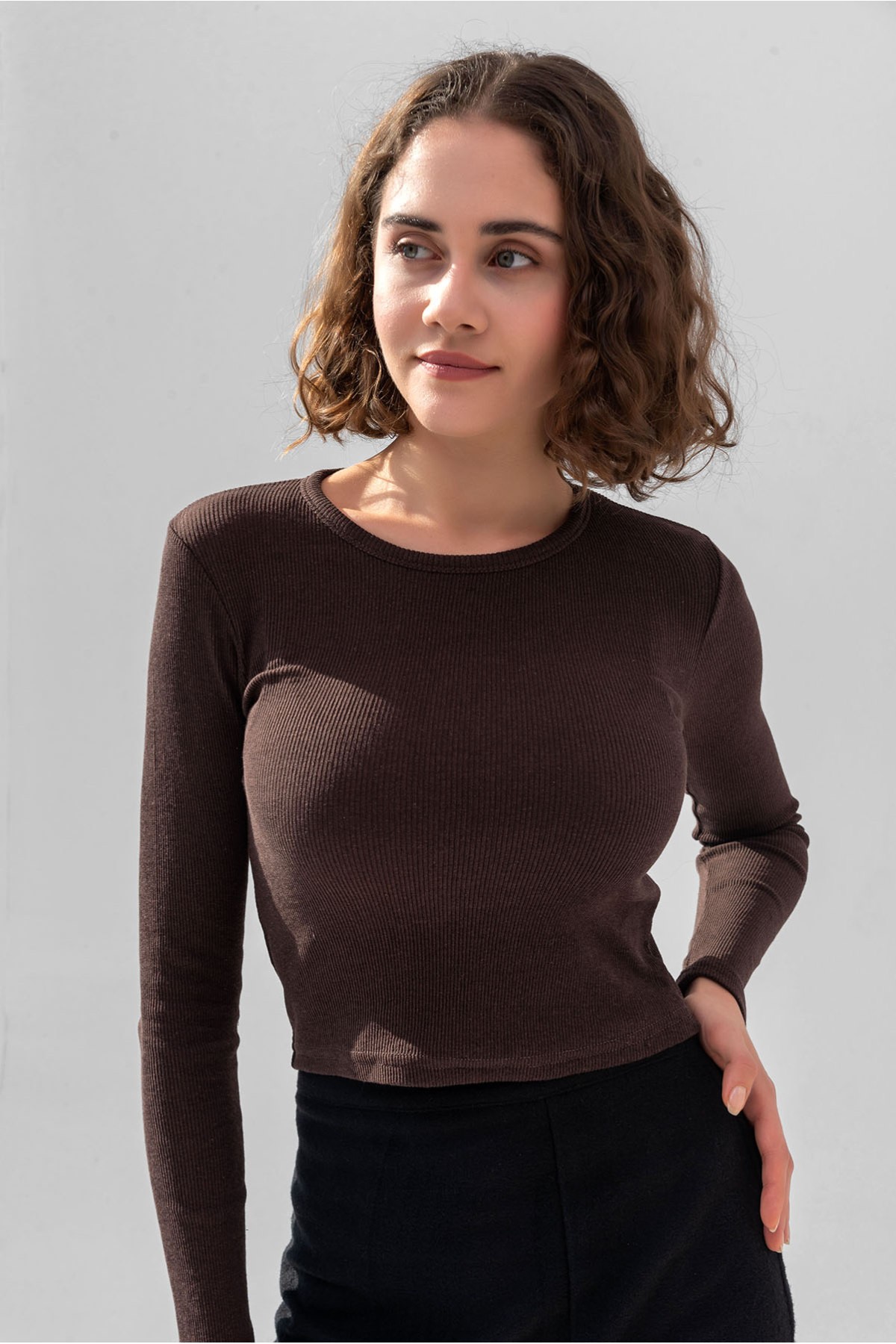 Baby Blue Long Sleeve Ribbed Blouse Crop Knitted T-shirt - Dark Brown
