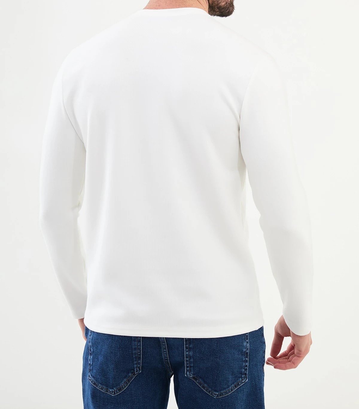 Desenli Slim Fit Bisiklet Yaka Triko  - Ekru
