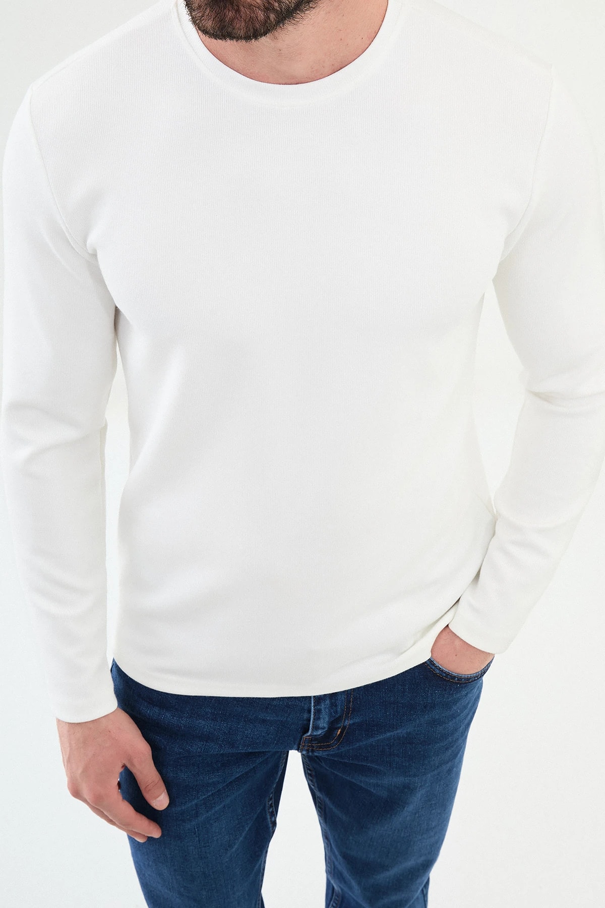 Desenli Slim Fit Bisiklet Yaka Triko  - Ekru