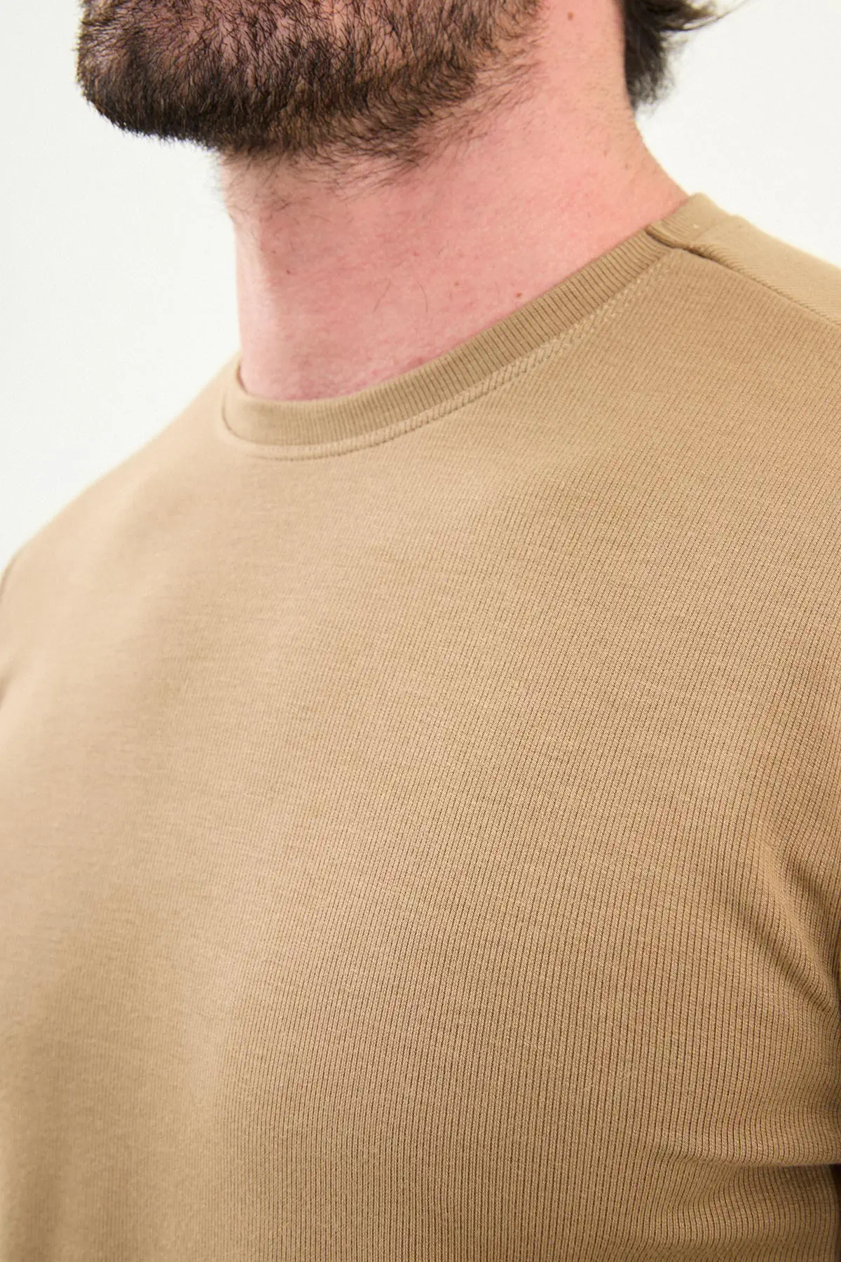 Desenli Slim Fit Bisiklet Yaka Triko  - Vizon