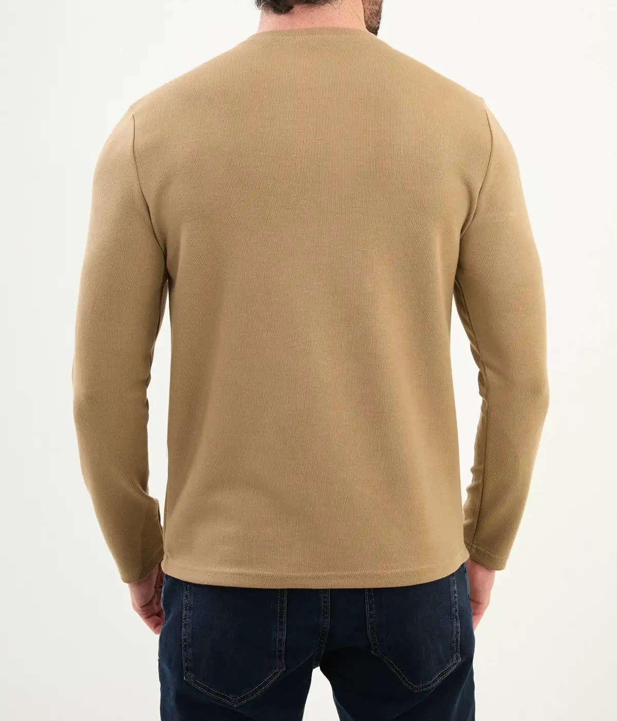 Desenli Slim Fit Bisiklet Yaka Triko  - Vizon