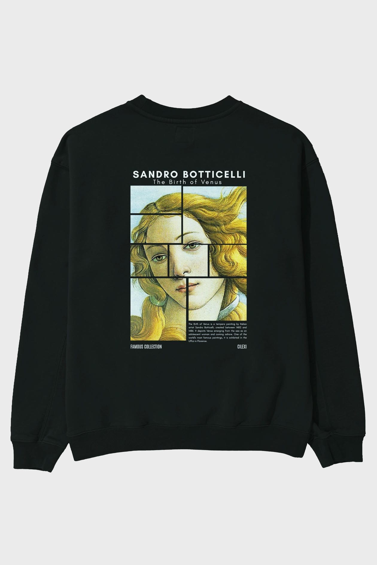 Sandro Botticelli Arka Baskılı Oversize Sweatshirt Erkek Kadın Unisex