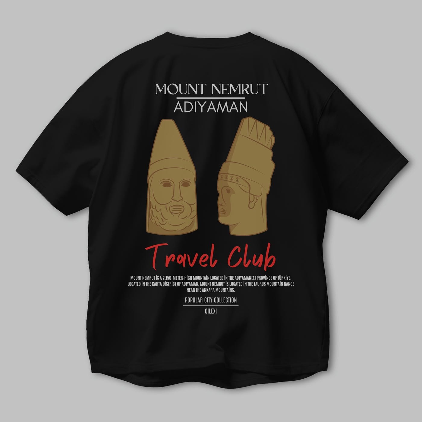 Mount Nemrut Adiyaman Arka Baskılı Oversize t-shirt Erkek Kadın Pamuk Bisiklet Yaka tişort